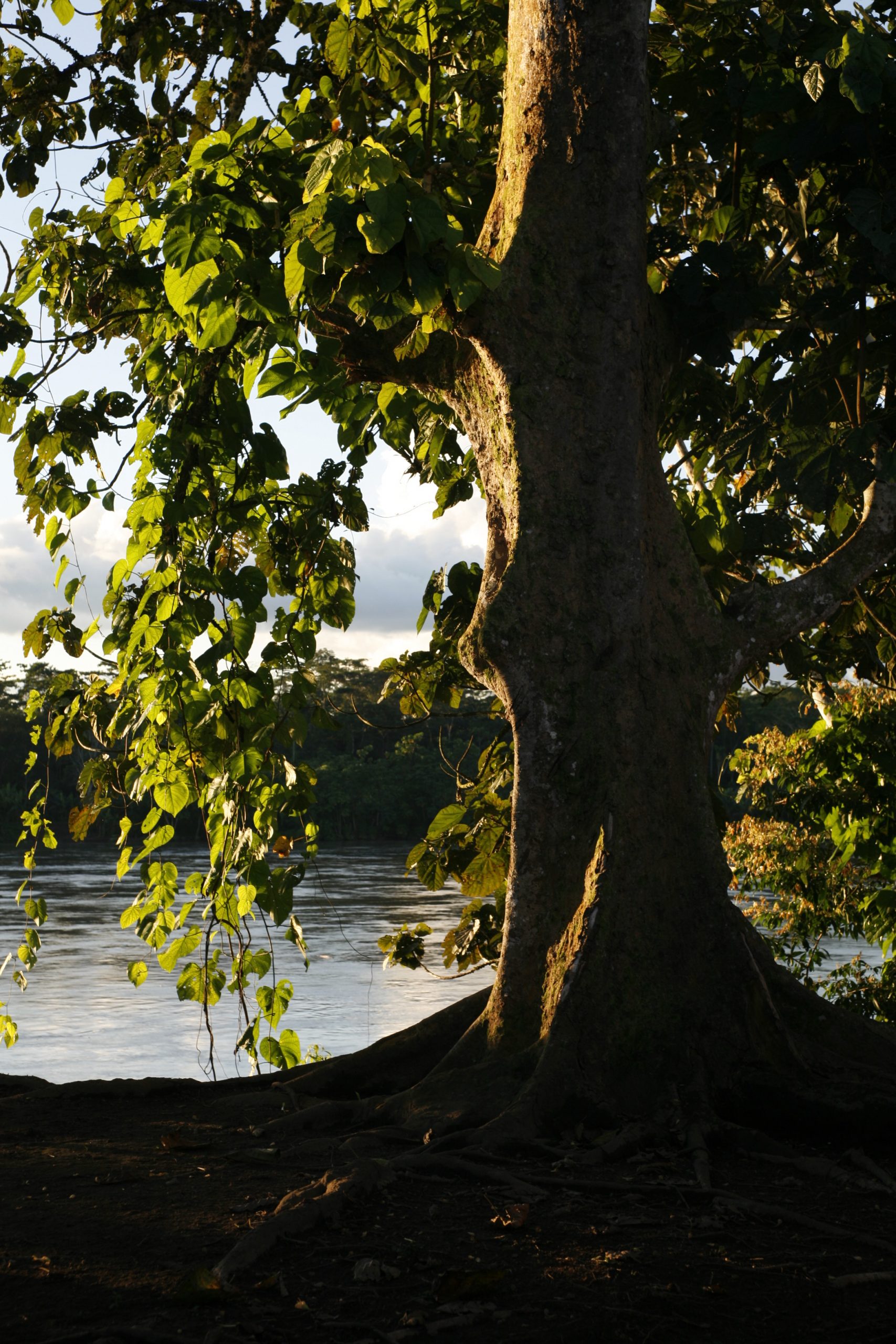 _MG_5822